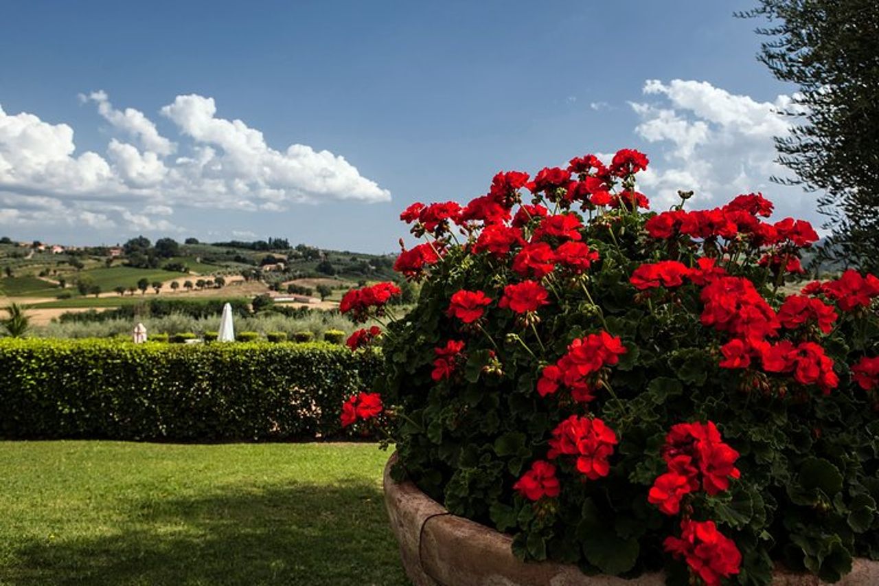 Menù con “Vista” nell’incanto delle colline Toscane — 5