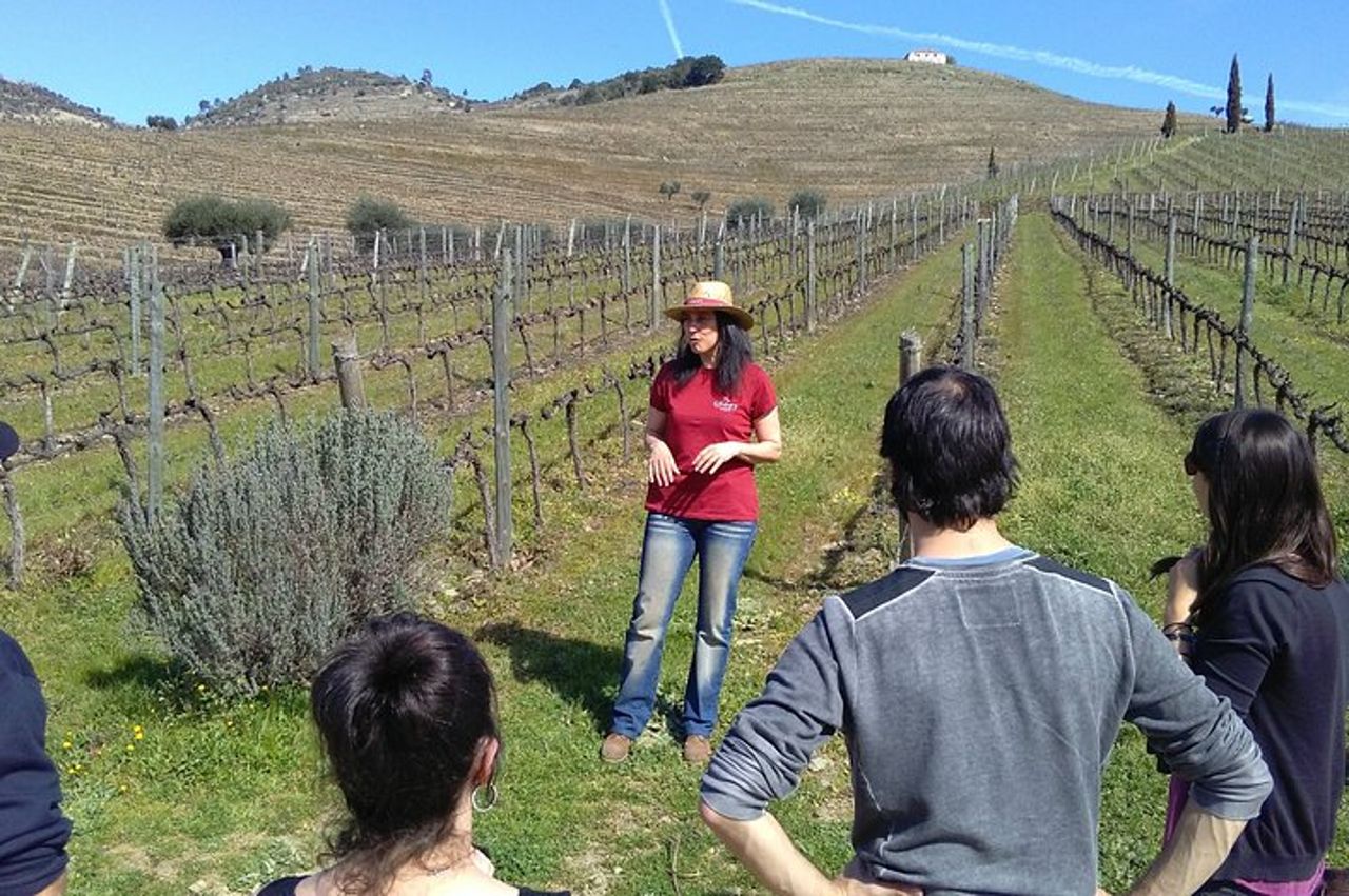 Tour della valle del Douro: 2 visite ai vigneti, crociera sul fiume, pranzo in cantina — 6