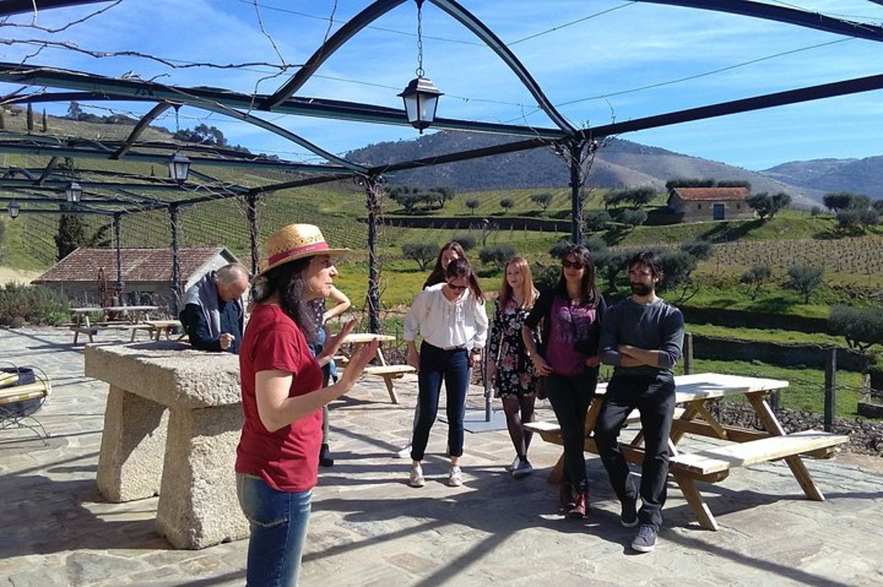 Tour dei vini della Valle del Douro: 3 visite ai vigneti, degustazioni di vini, pranzo — 3
