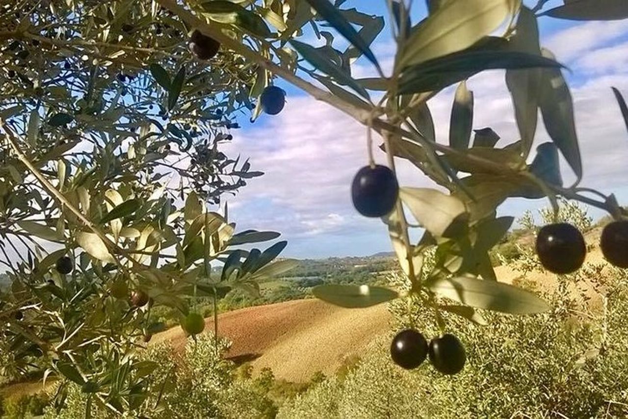 La Maremma — 3