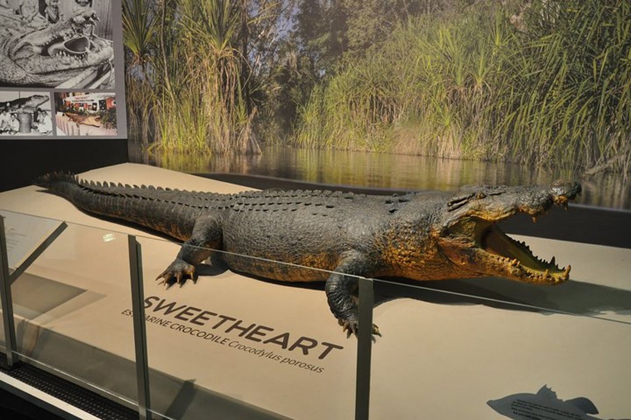 Tour dell'esploratore della città di Darwin — 8