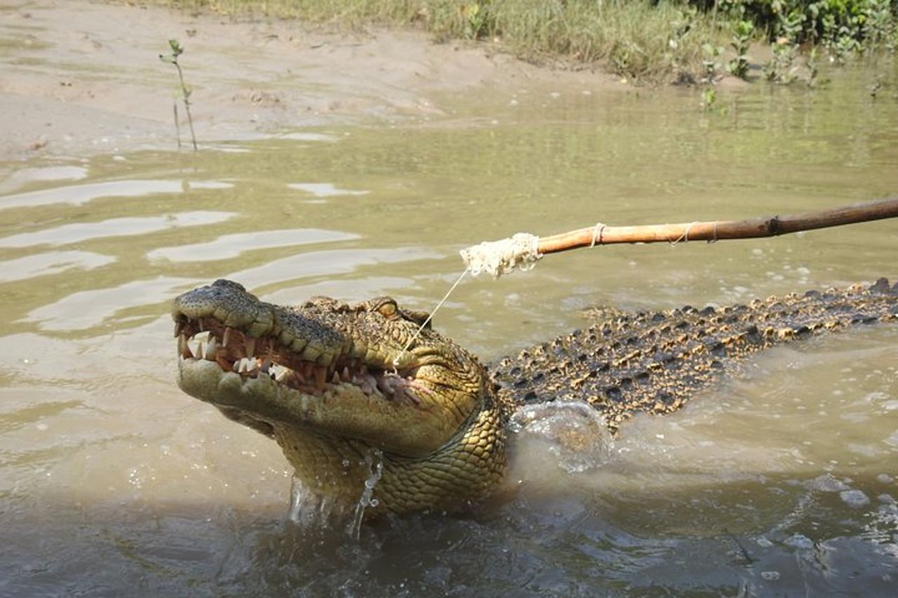Litchfield e Jumping Crocodiles Gita di un giorno intero da Darwin — 3