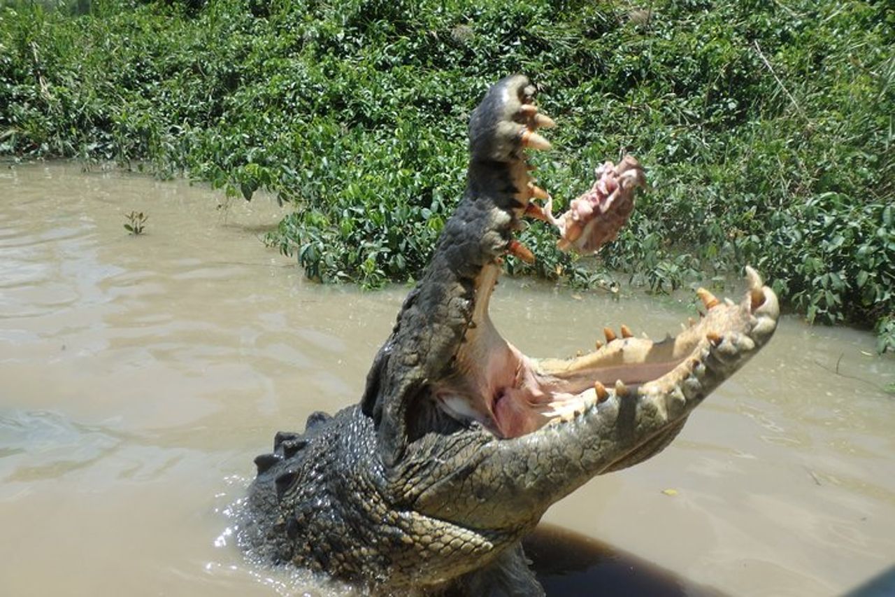 Litchfield e Jumping Crocodiles Gita di un giorno intero da Darwin — 6