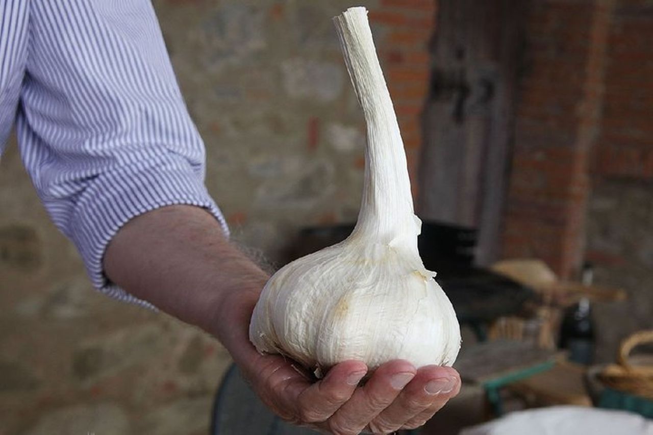 Corso di Cucina e tradizione Toscana a Montepulciano — 4