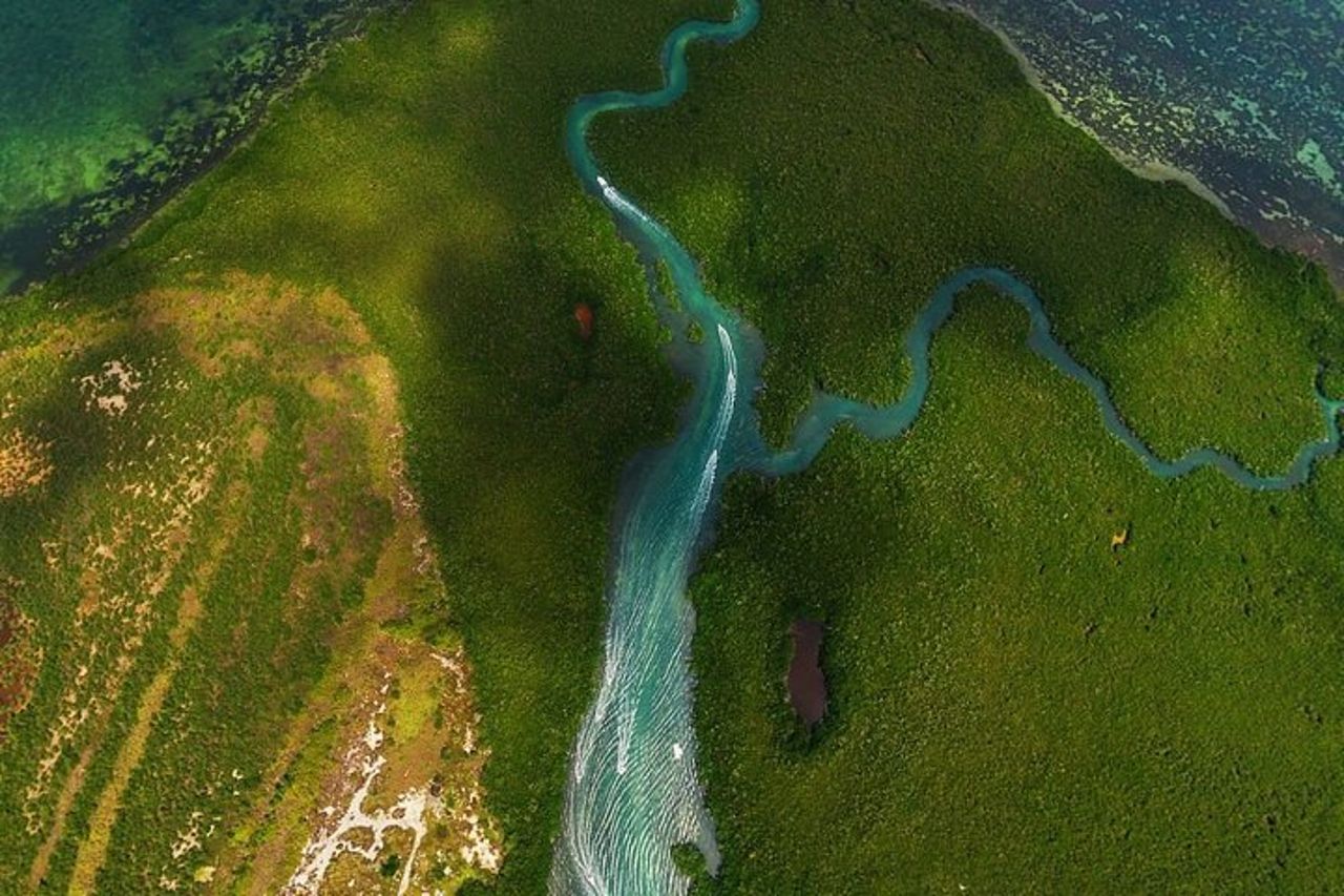 Tour in motoscafo delle mangrovie e della laguna — 3