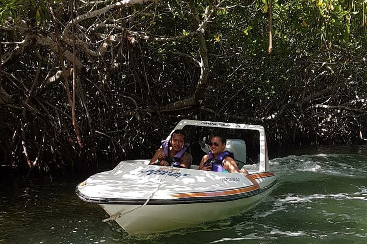 Tour in motoscafo delle mangrovie e della laguna — 8