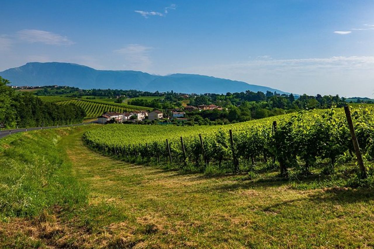 Valdobbiadene (Treviso): degustazione di Prosecco — 7