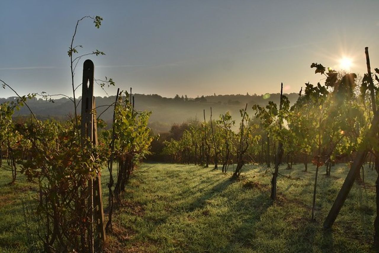 Valdobbiadene (Treviso): degustazione di Prosecco — 8