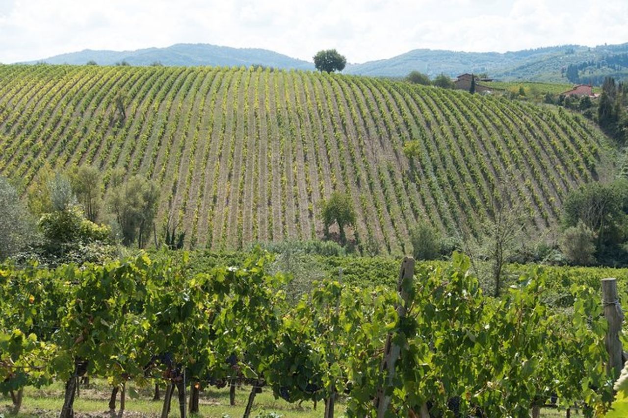 Valdobbiadene (Treviso): degustazione di Prosecco — 9