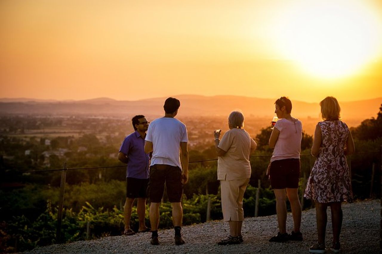 Degustazione all'Aria Aperta di Vini BIO con Vista! — 2