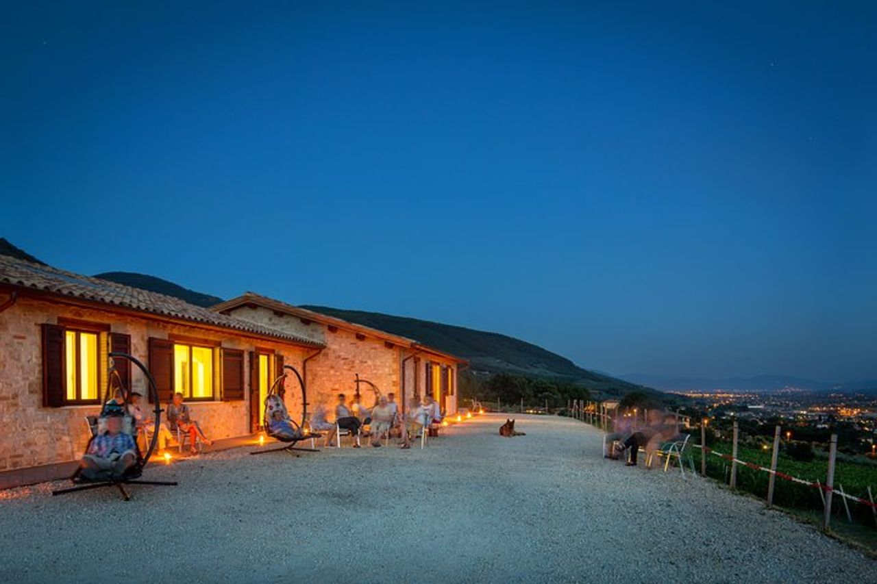 Degustazione all'Aria Aperta di Vini BIO con Vista! — 4