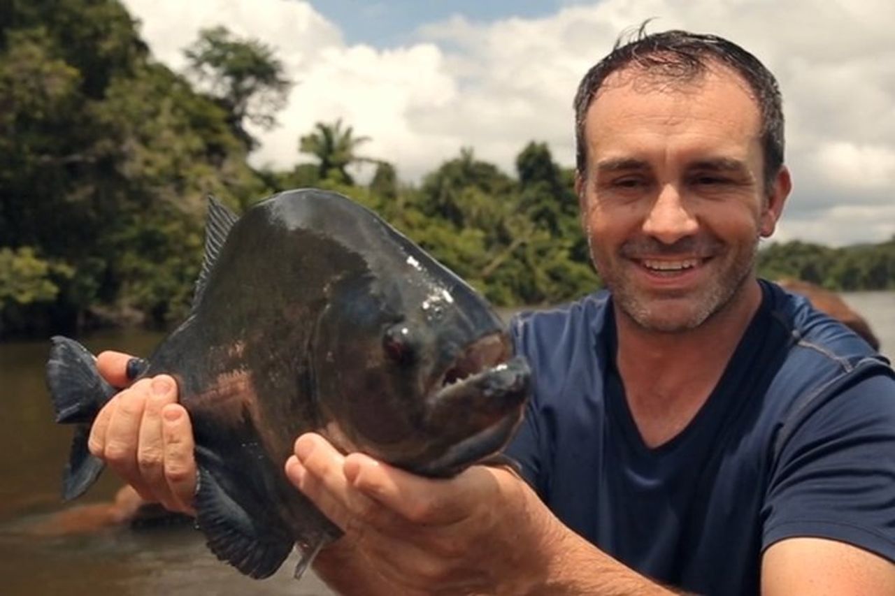 Pesca Piranha nella giungla amazzonica