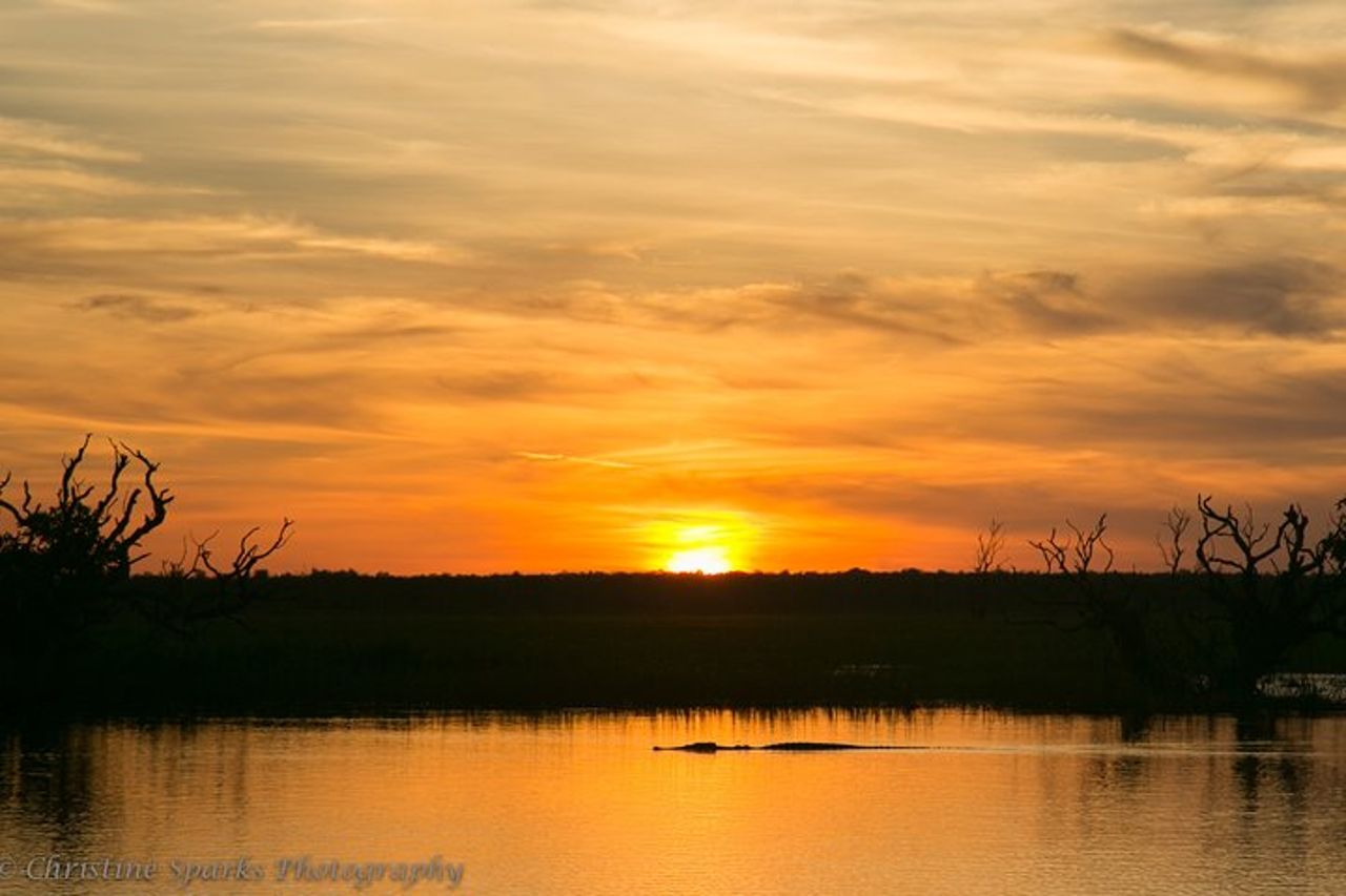 Crociere sulla zona umida di Corroboree Billabong - Crociera al tramonto di 2 ore — 5