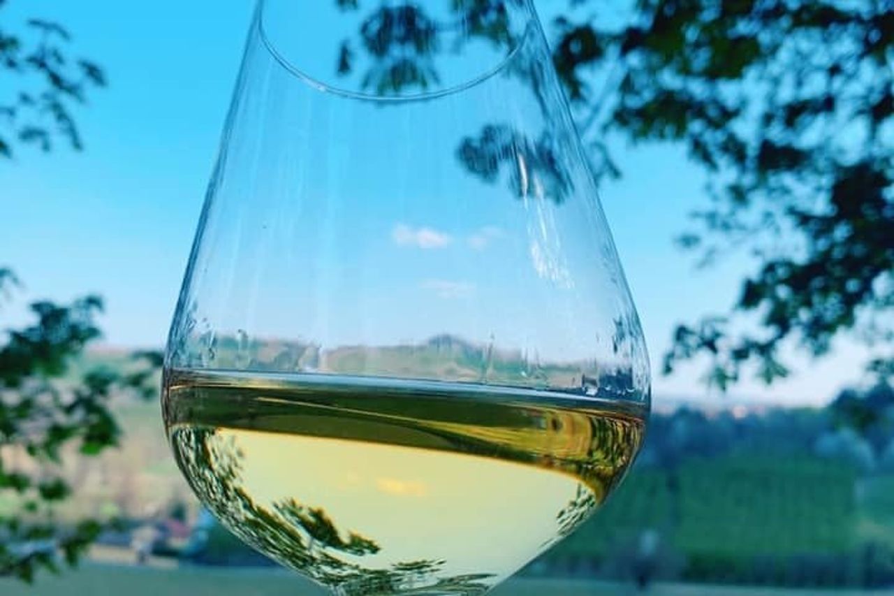 Tour Enologico Privato con Degustazione I Bianchi di Langa — 3