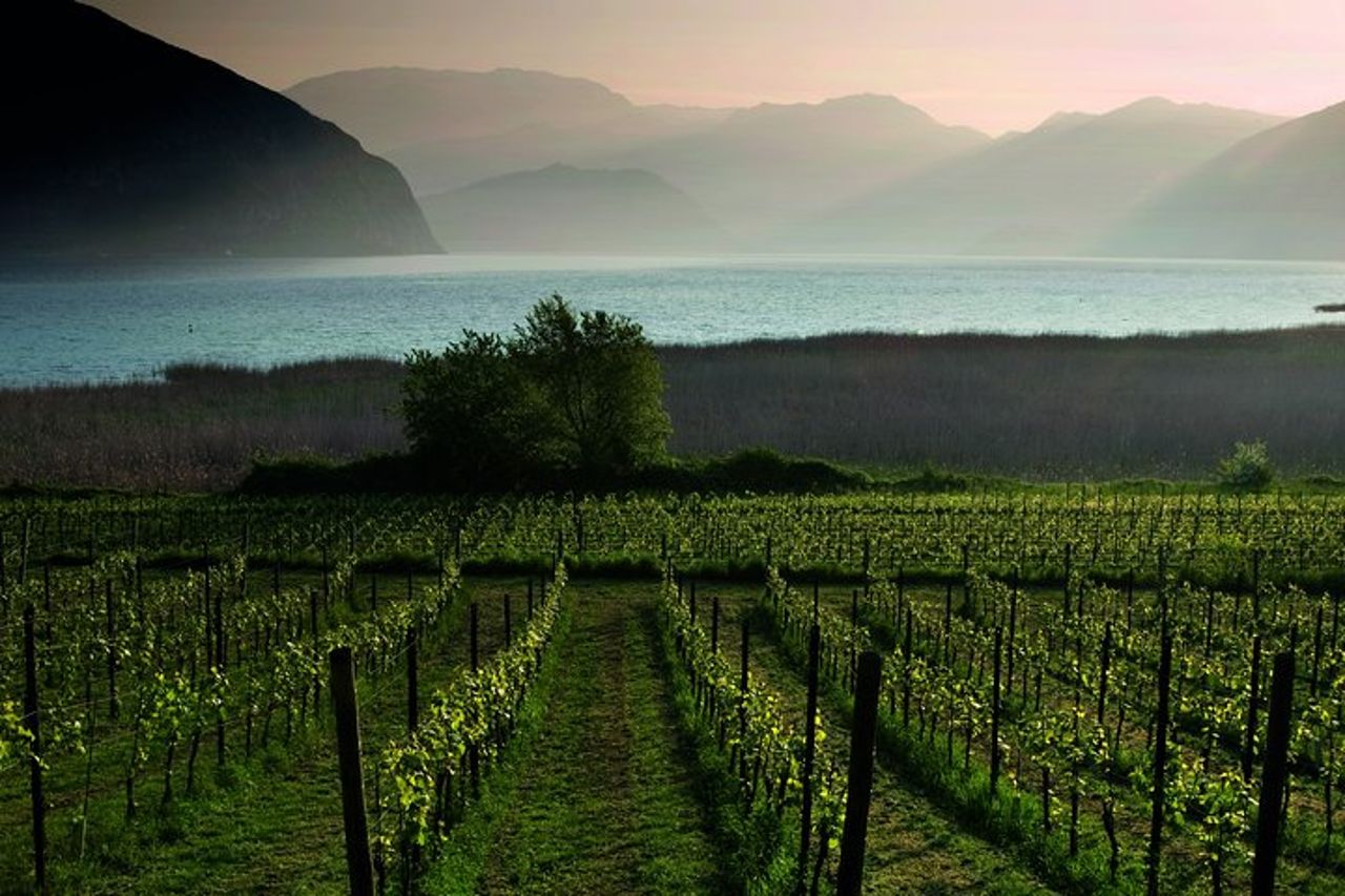 Bergamo e Franciacorta con pranzo e visita cantina — 5