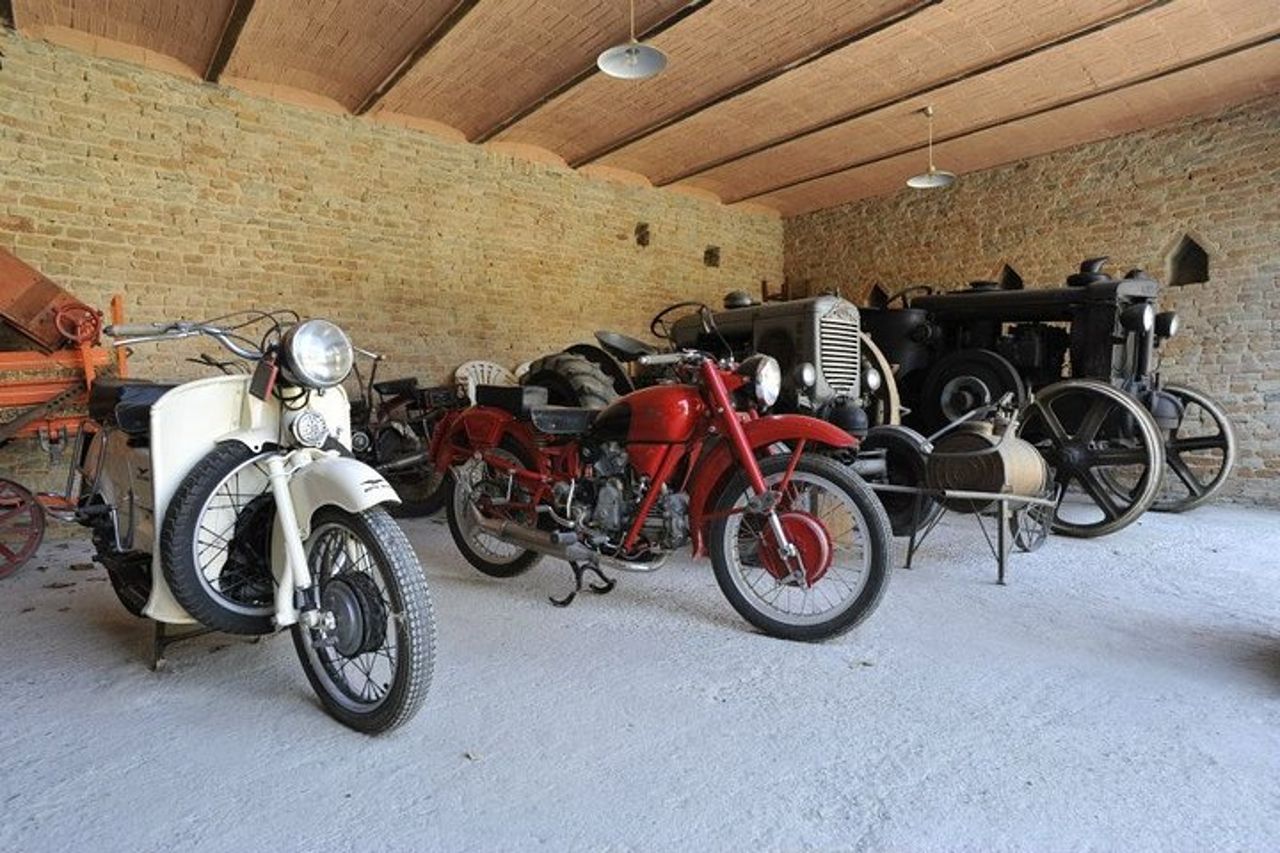 Tour Enologico Privato con Degustazione I Bianchi di Langa — 5