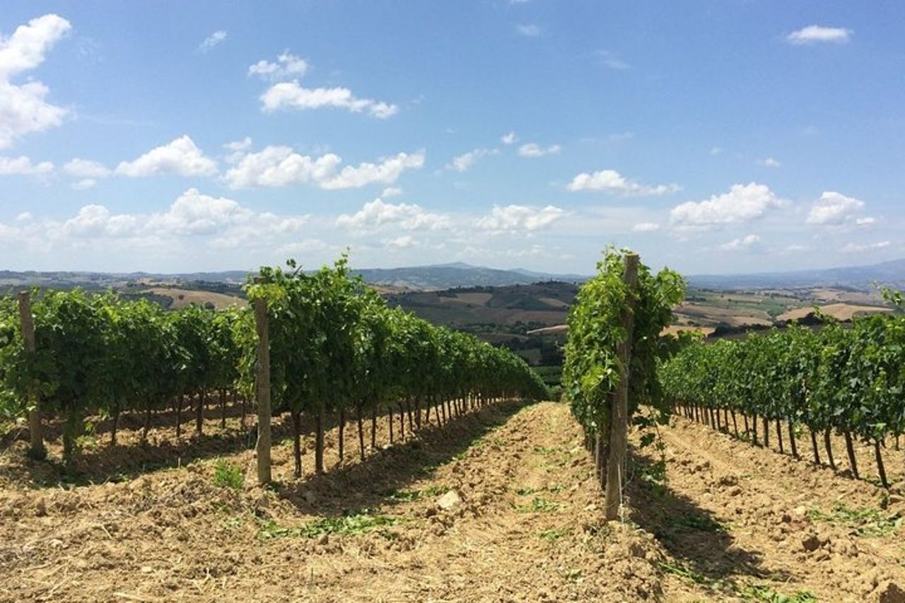 La Maremma — 7