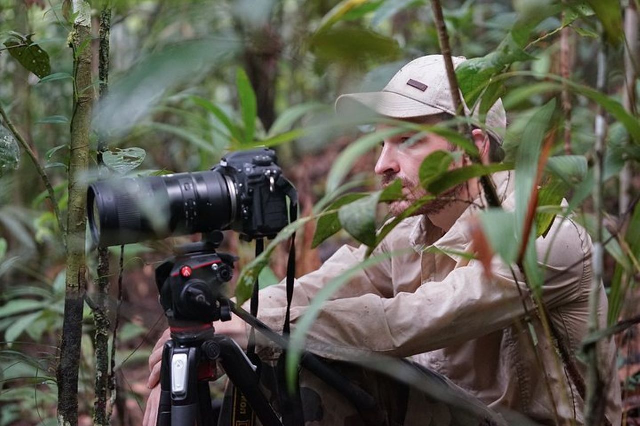 Fauna selvatica di 5 giorni del Parco Nazionale Pacaya da Iquitos — 6