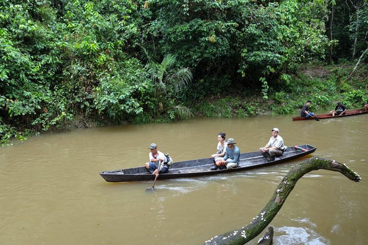 Fauna selvatica di 5 giorni del Parco Nazionale Pacaya da Iquitos — 3