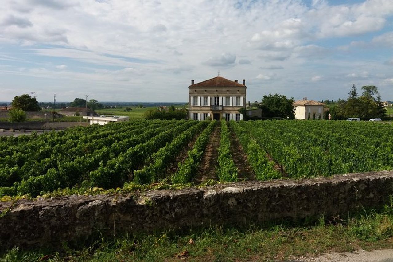 Saint Emilion Wine Tour Degustazione Mezza giornata da Bordeaux