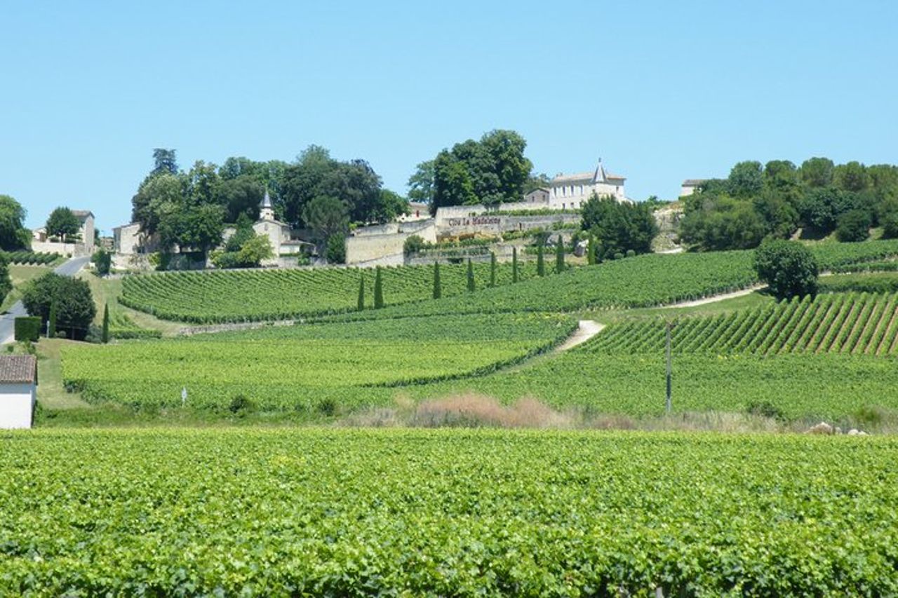 Saint Emilion Wine Tour Degustazione Mezza giornata da Bordeaux — 6