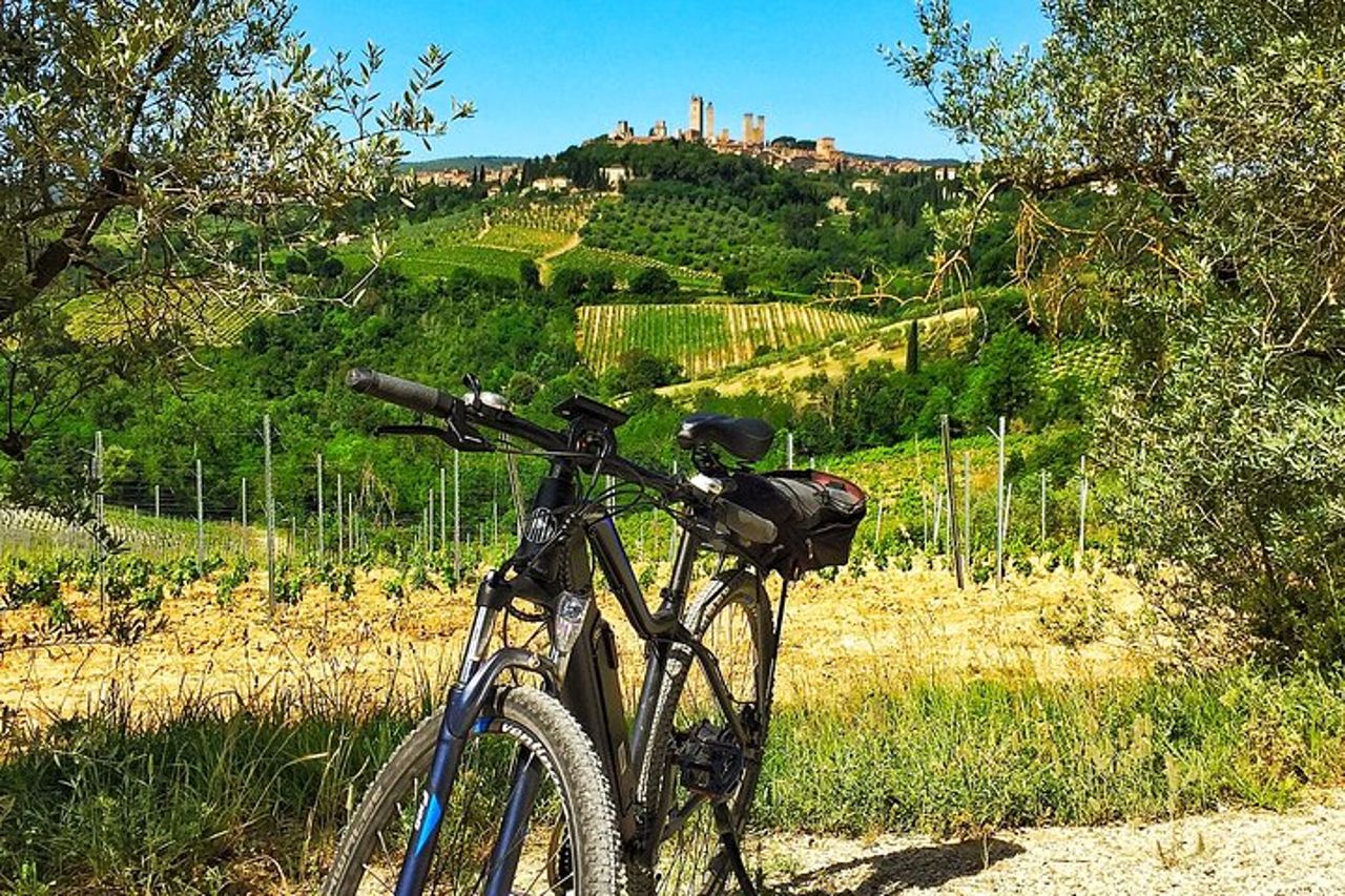Chianti to San Gimignano Bike Tour — 3