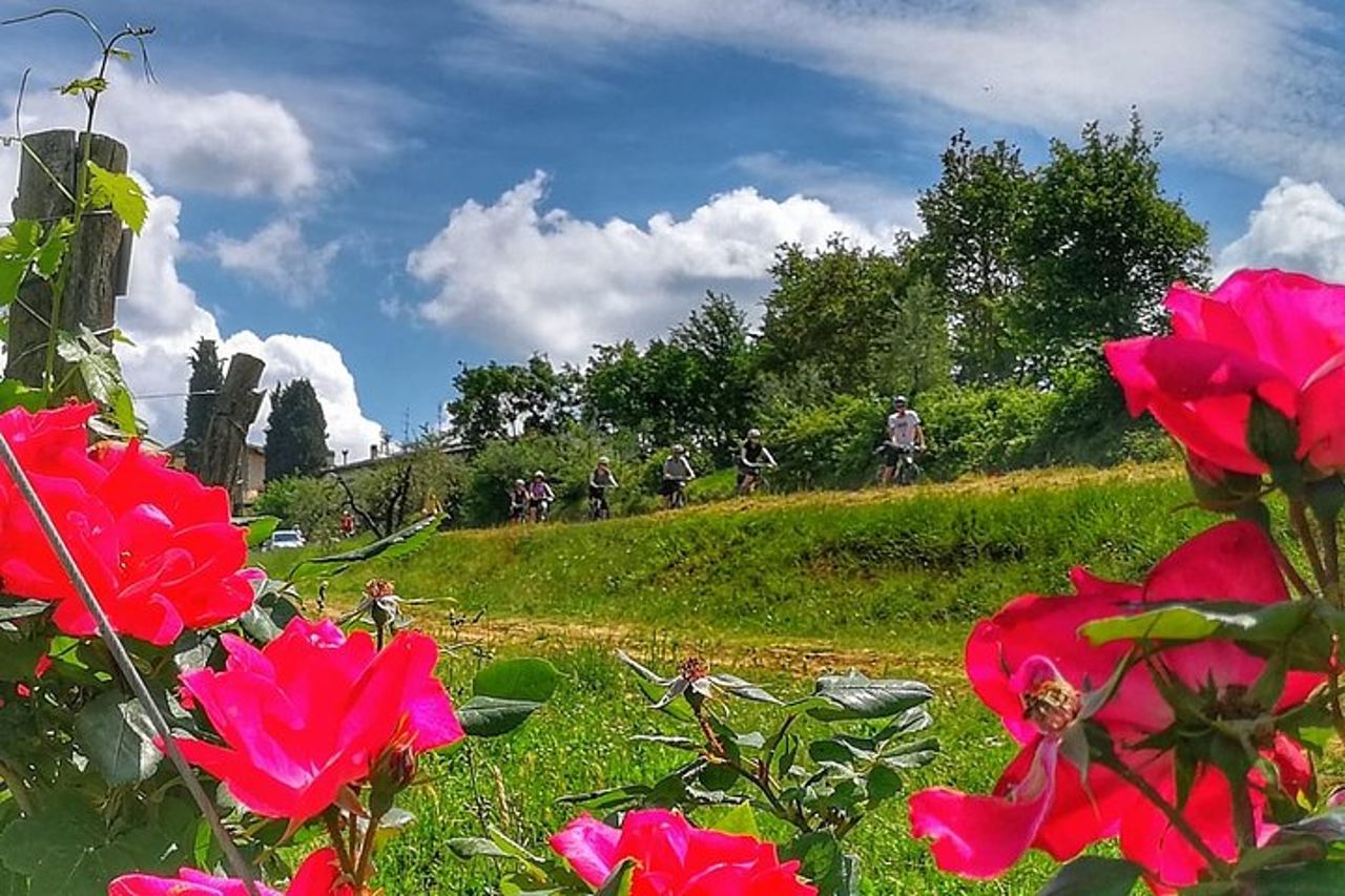 The Best of Chianti Classico E-bike tour — 2