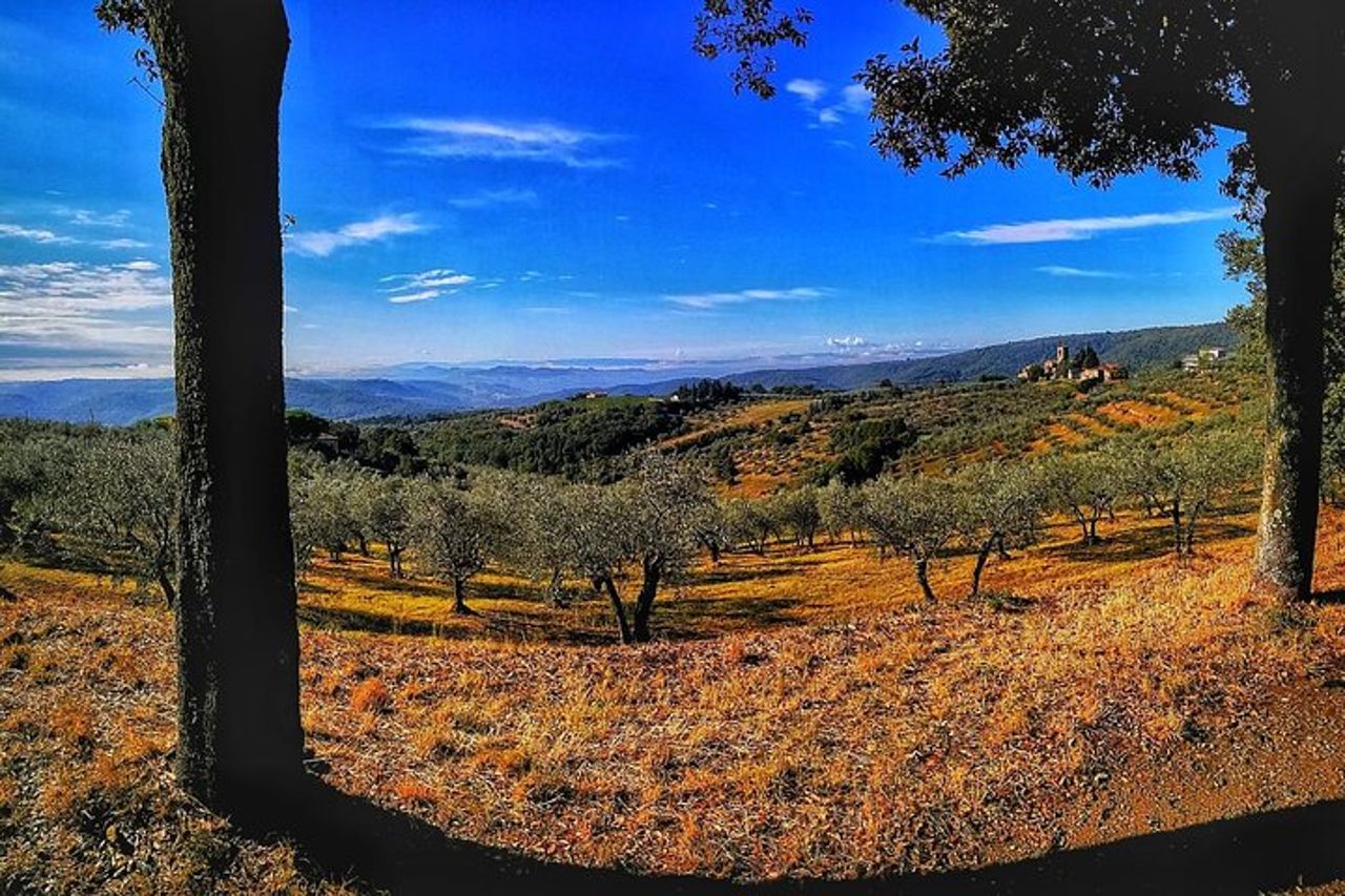 The Best of Chianti Classico E-bike tour — 3