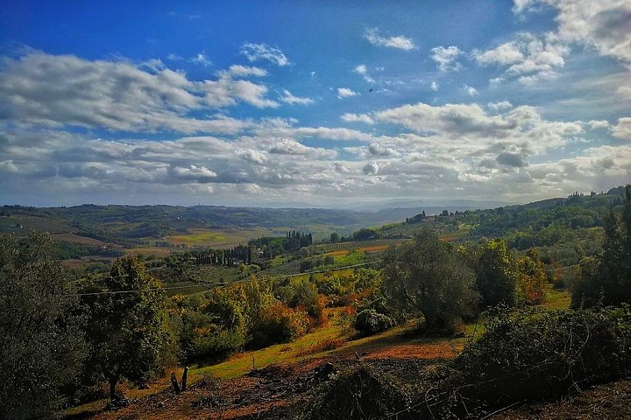 The Best of Chianti Classico E-bike tour — 4