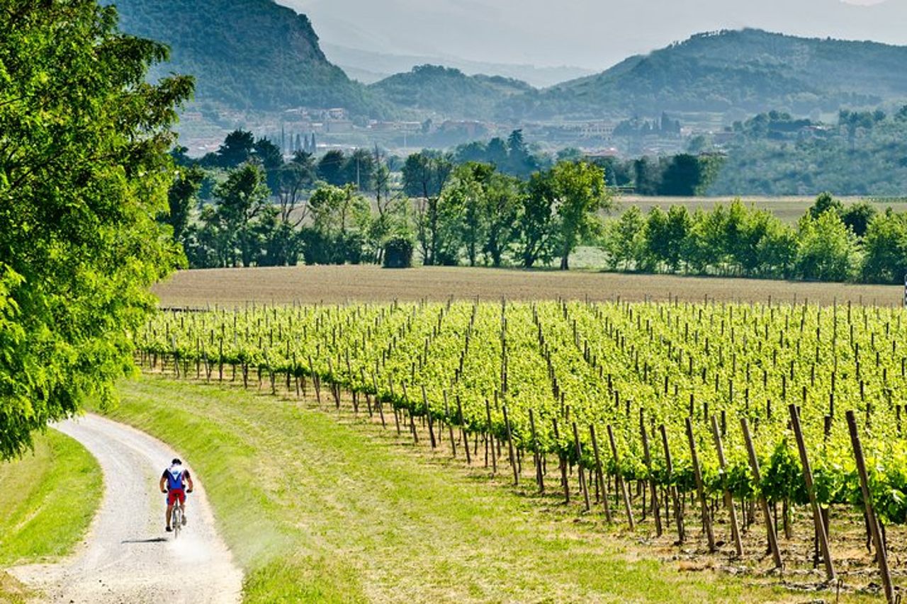 Bergamo e Franciacorta con pranzo e visita cantina — 2
