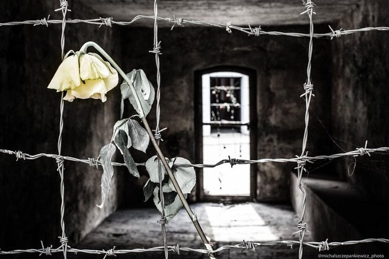 Tour privato del campo di concentramento di Stutthof da Danzica — 4