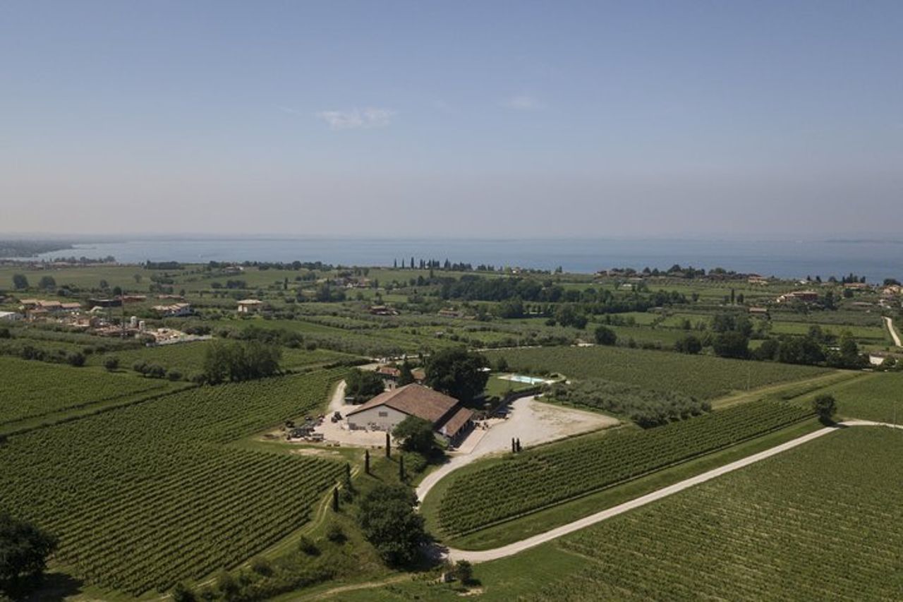 Visita e wine tasting a Tenuta La Cà