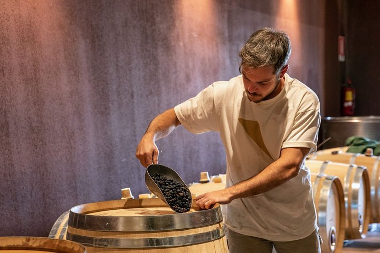 Visita e wine tasting a Tenuta La Cà — 2