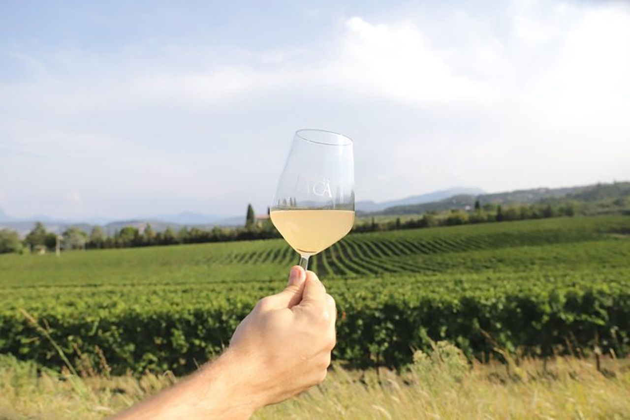 Visita e wine tasting a Tenuta La Cà — 3
