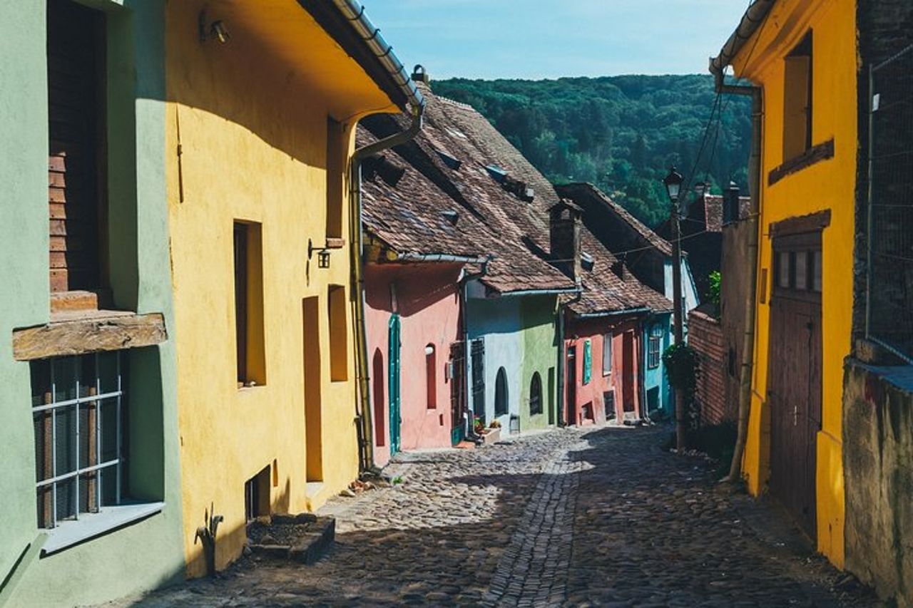 Tour privato di un giorno alla scoperta di Sighișoara, Biertan e Viscri — 5