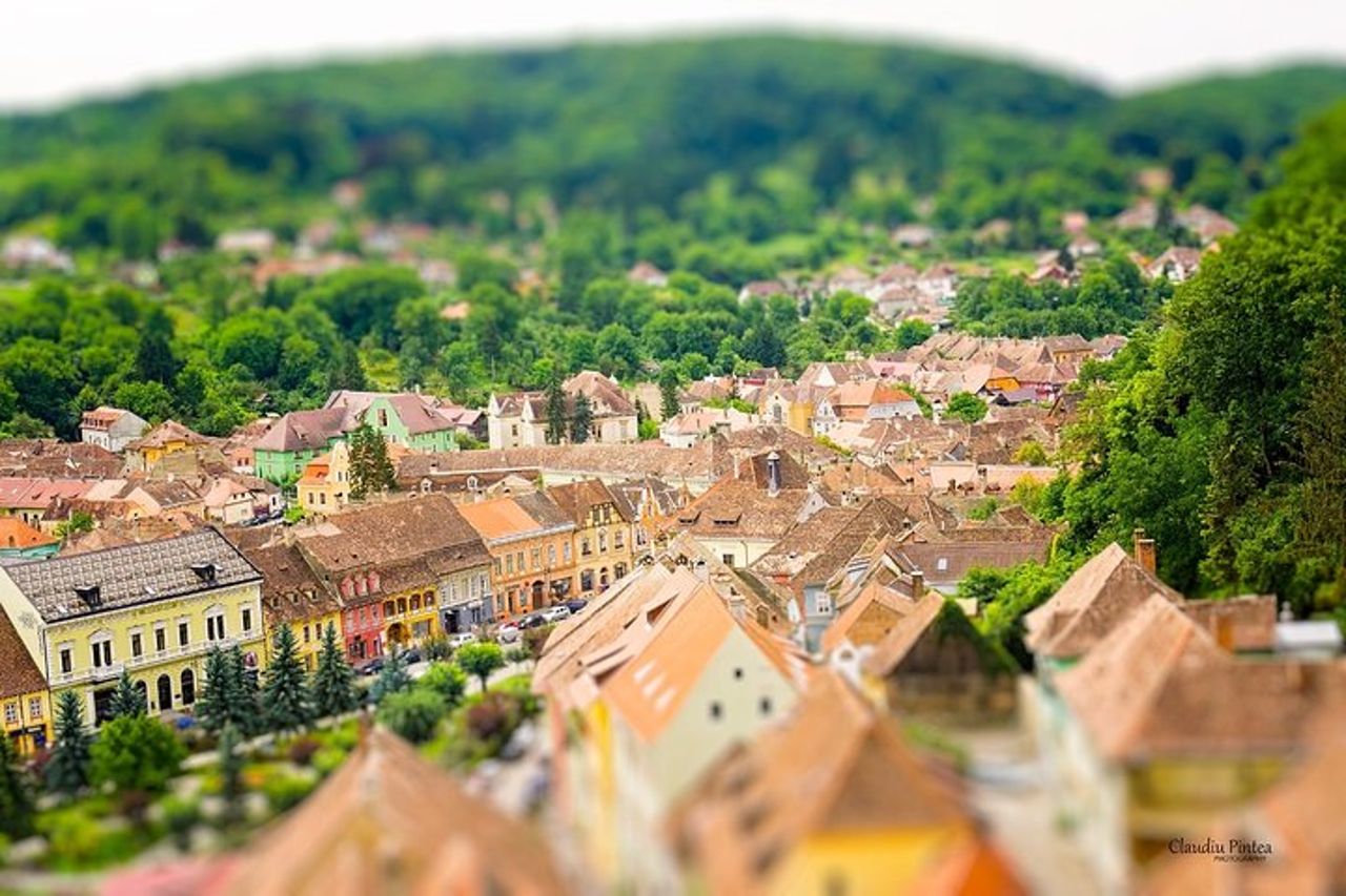 Tour privato di un giorno alla scoperta di Sighișoara, Biertan e Viscri — 8