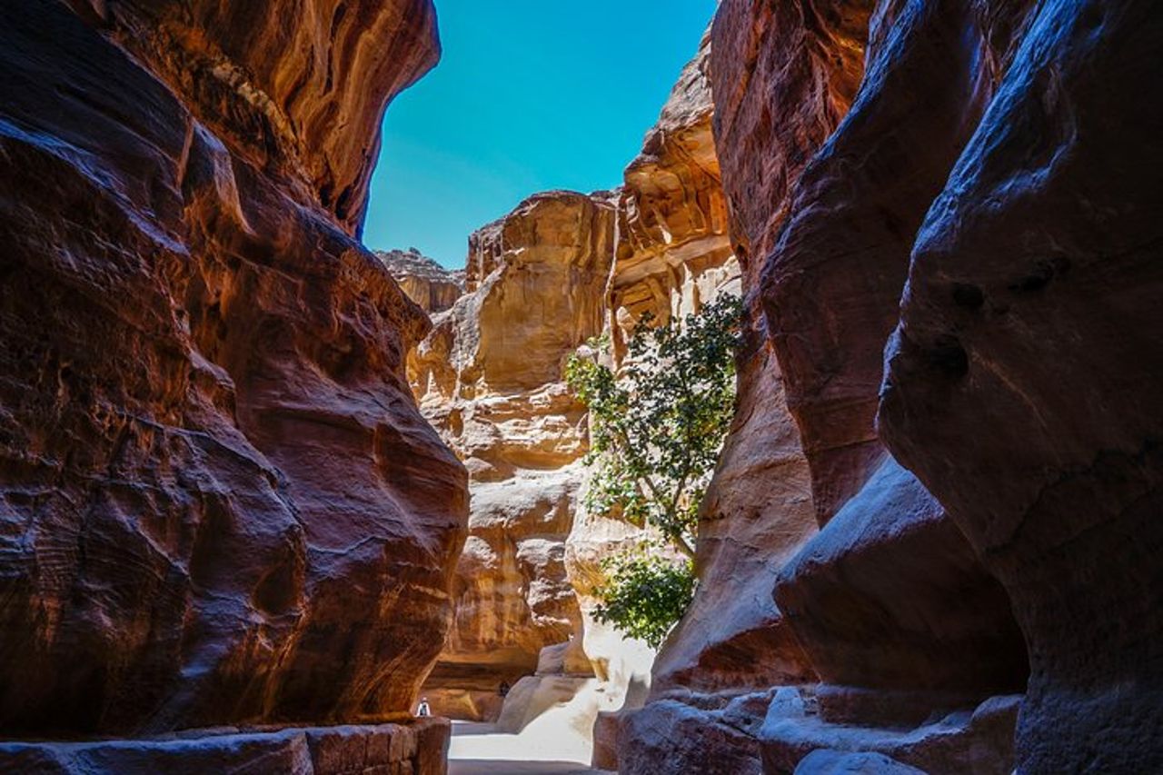 Escursione Privata per l'intera giornata di Aqaba a Petra e Wadi Rum — 9