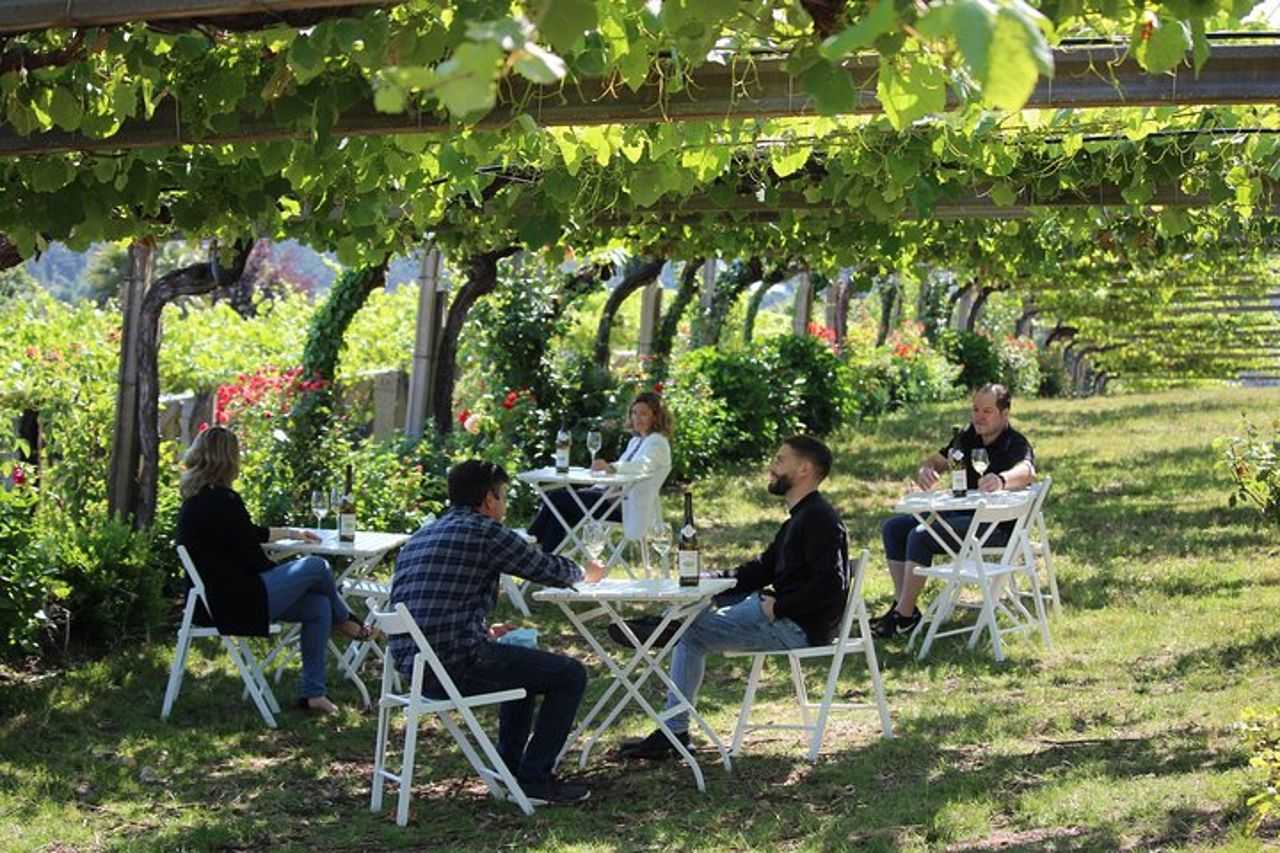 Visita guidata di Bodegas Granbazán — 6