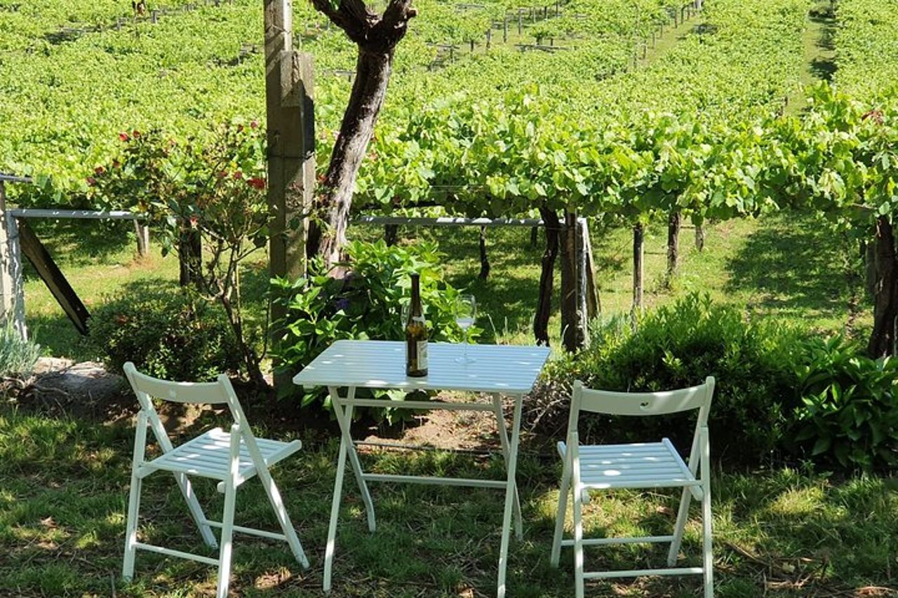 Visita guidata di Bodegas Granbazán — 8