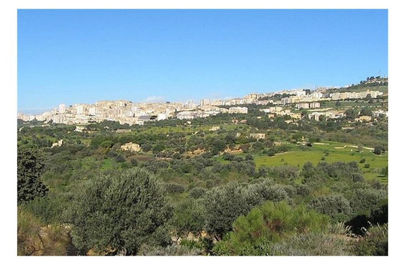 Tour Privato di Una Giornata di Agrigento e di Piazza Armerina — 3