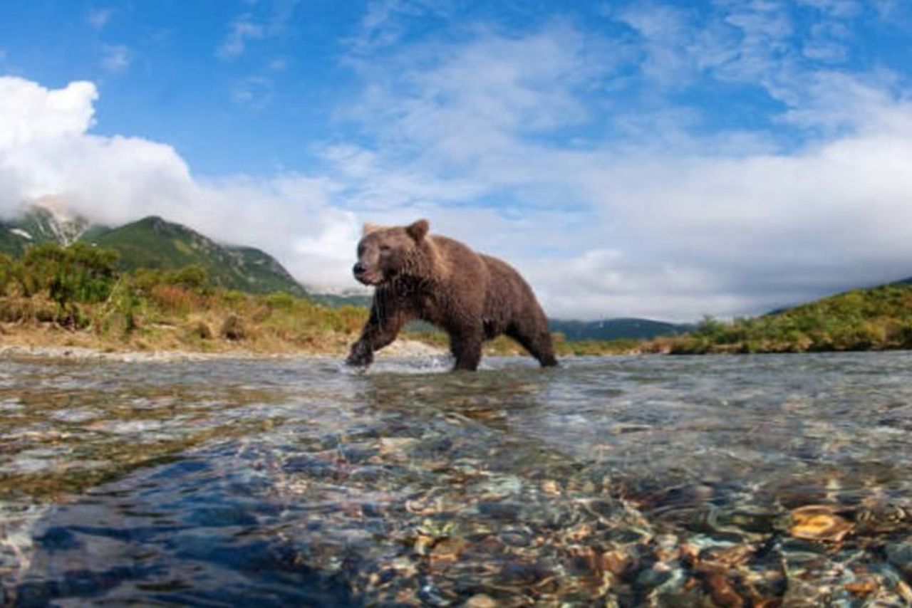 Escursione a terra per piccoli gruppi dello stretto ghiacciato: stiamo andando a caccia dell'orso! — 4