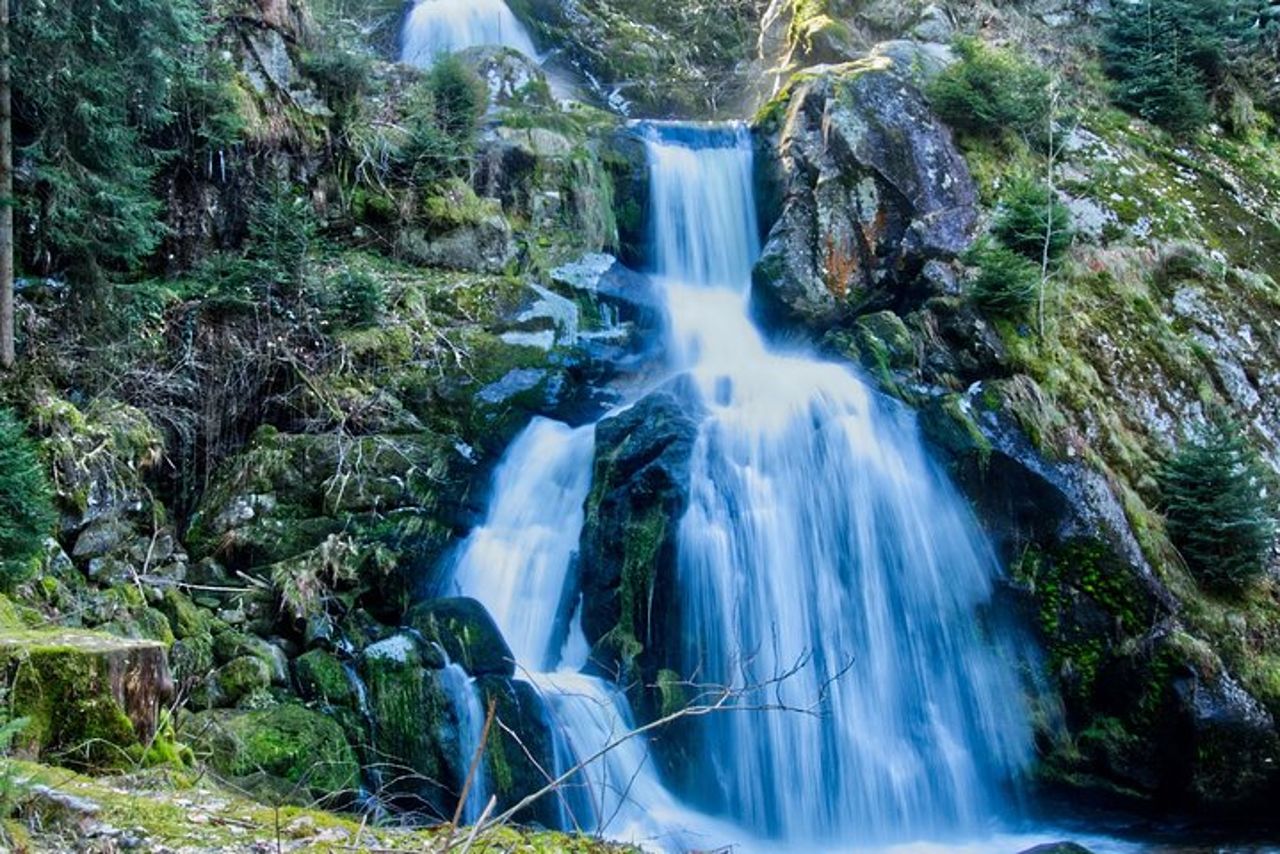 Il meglio della Foresta Nera da Basilea — 4