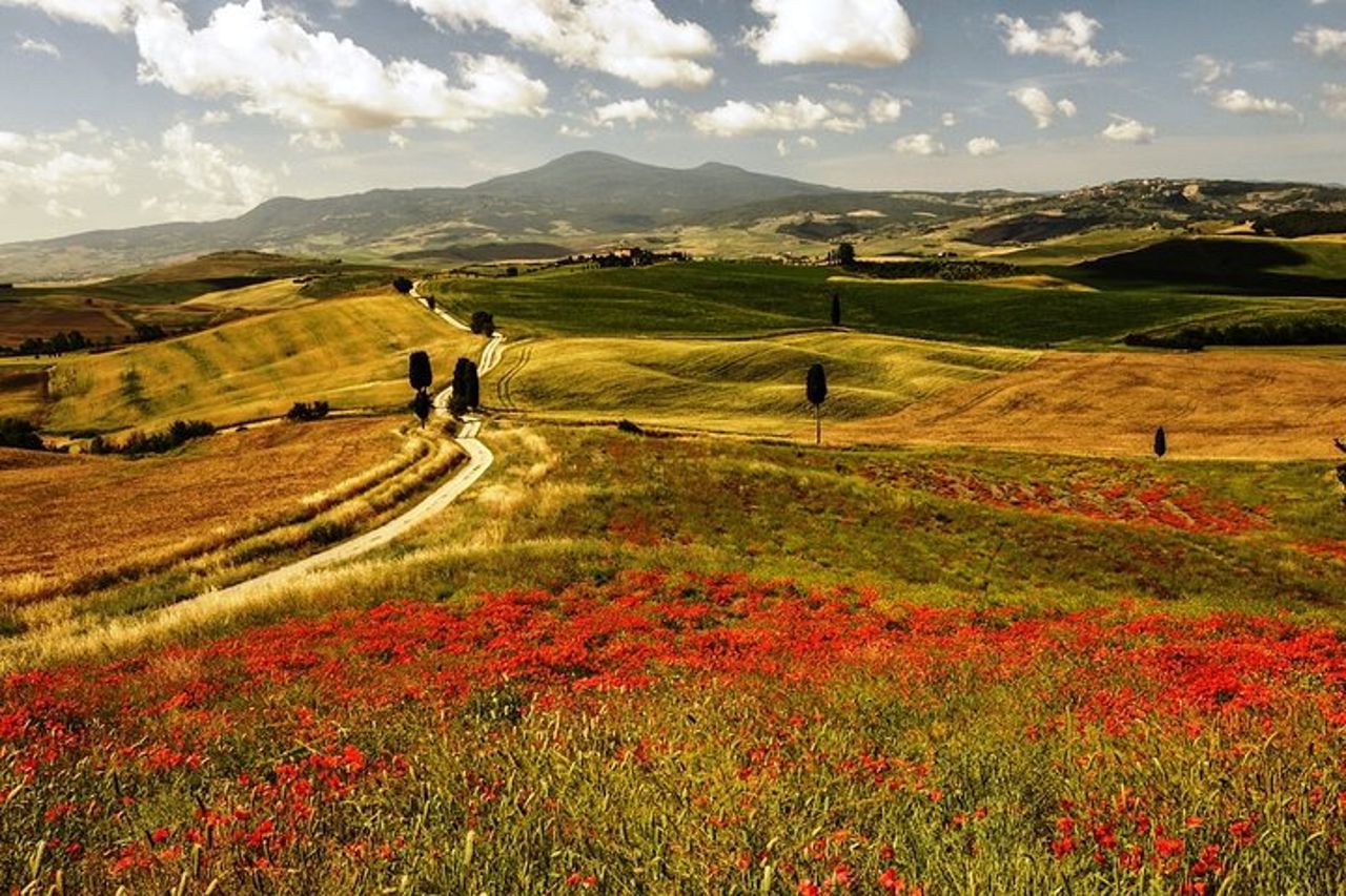 Escursione a Montalcino e Pienza in Toscana Wine & Cheese Shore dal porto di Civitavecchia — 5