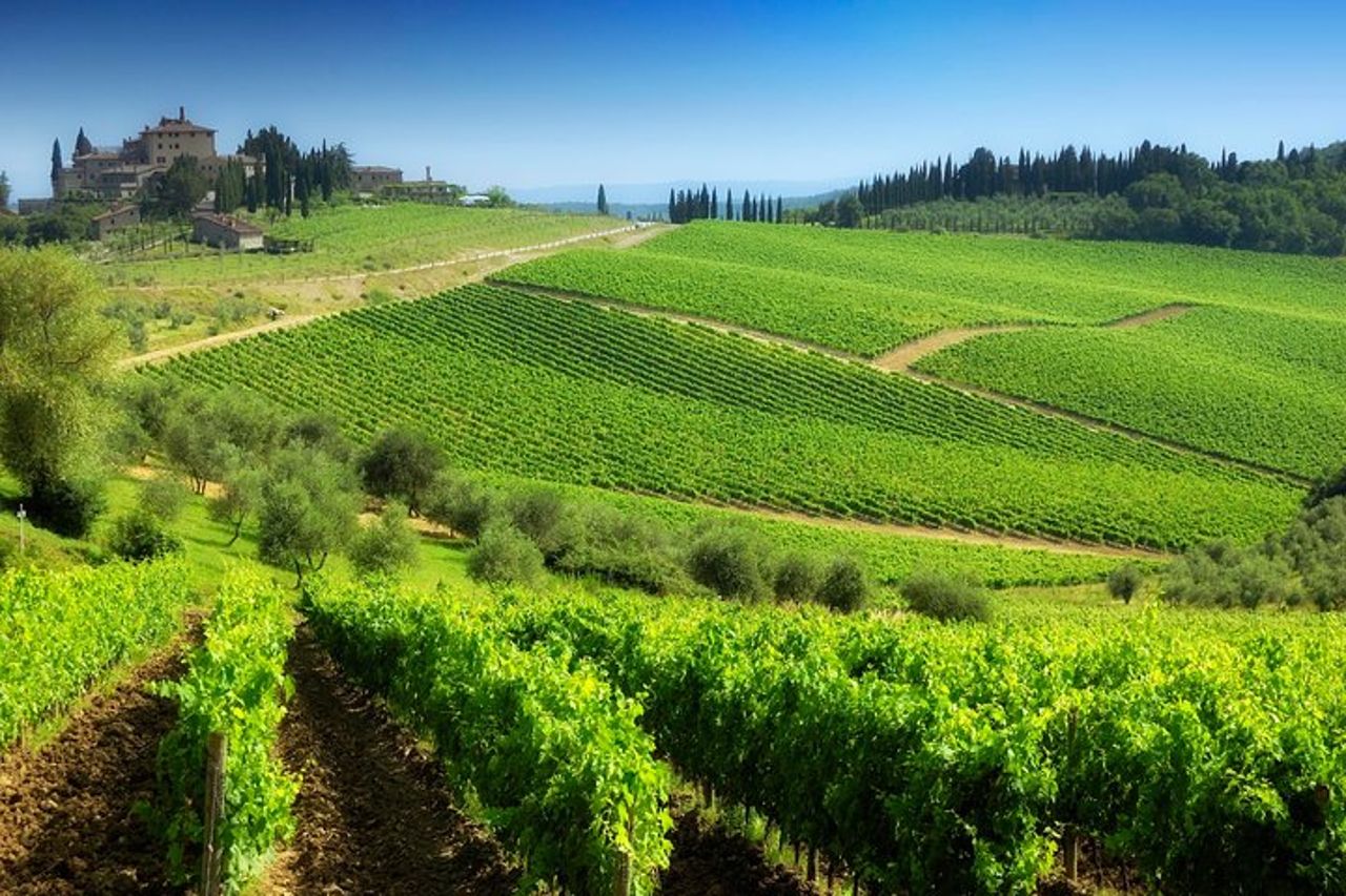 Escursione a Montalcino e Pienza in Toscana Wine & Cheese Shore dal porto di Civitavecchia — 7