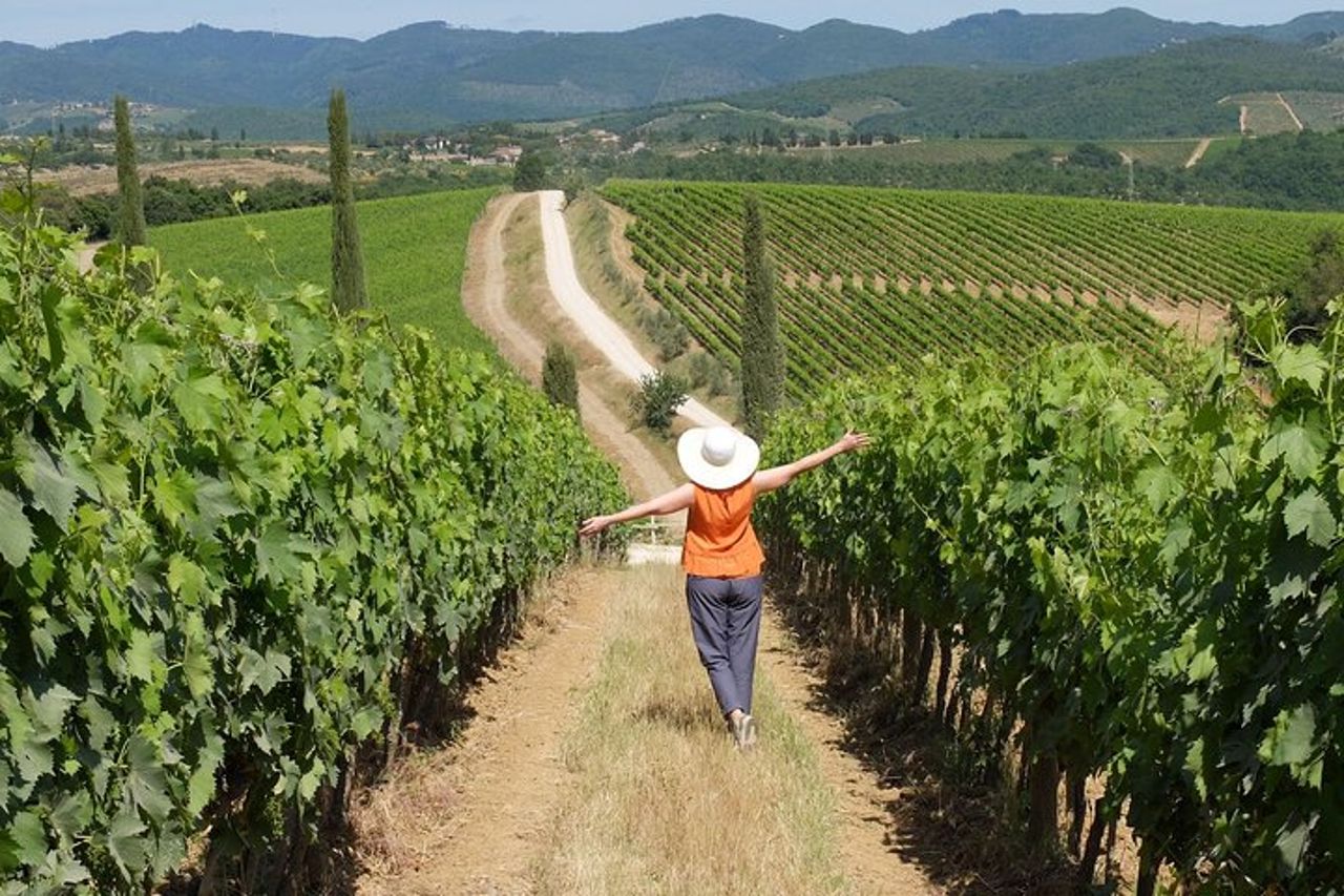 Chianti Lovers Tour - 2 Cantine e SuperTuscan Small Group da Lucca — 5