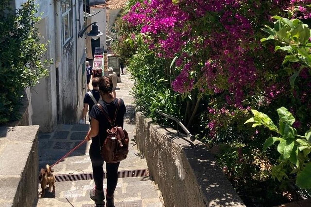 Tour a Piedi da Minori a Maiori lungo il Sentiero dei Limoni — 4