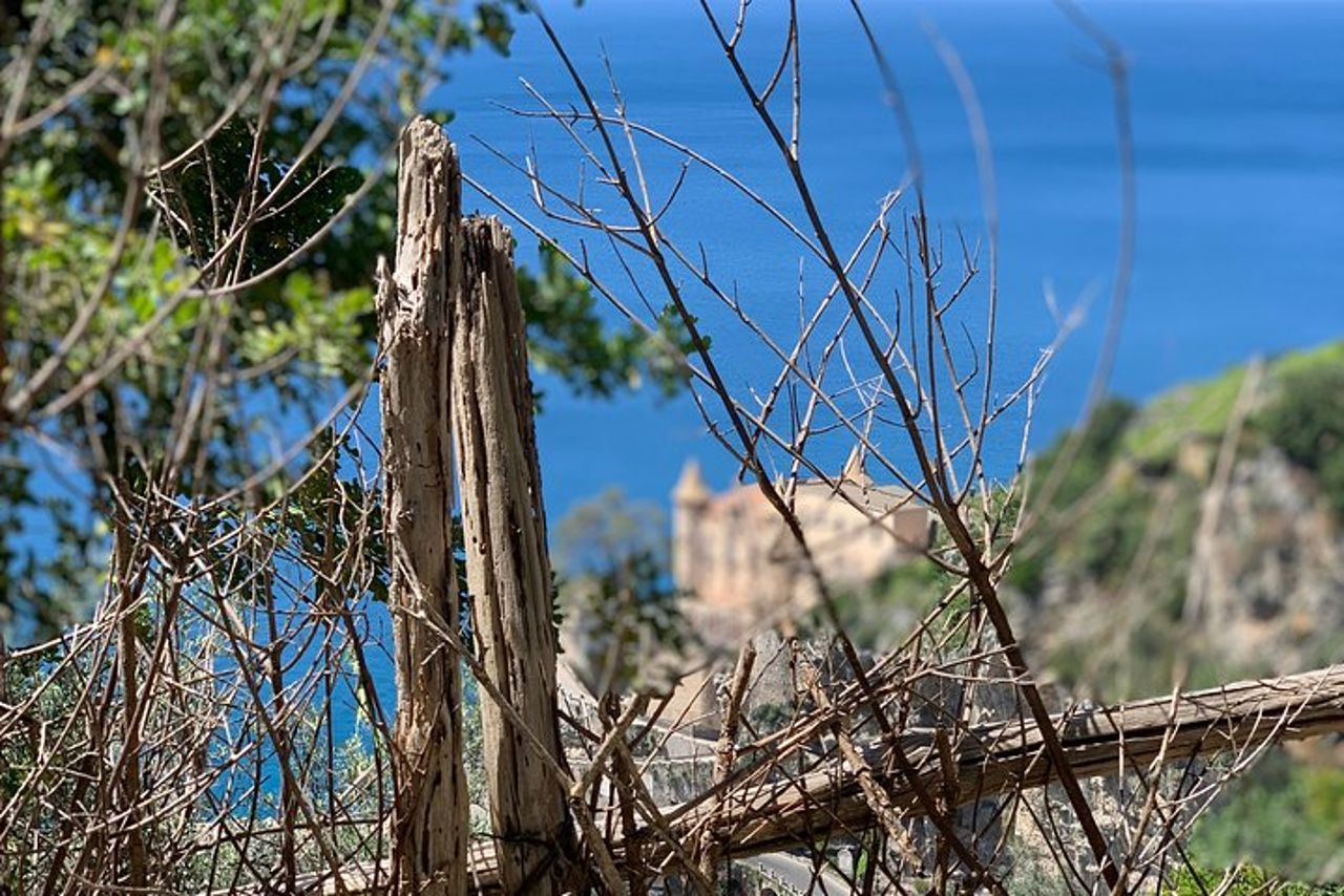 Tour a Piedi da Minori a Maiori lungo il Sentiero dei Limoni — 6