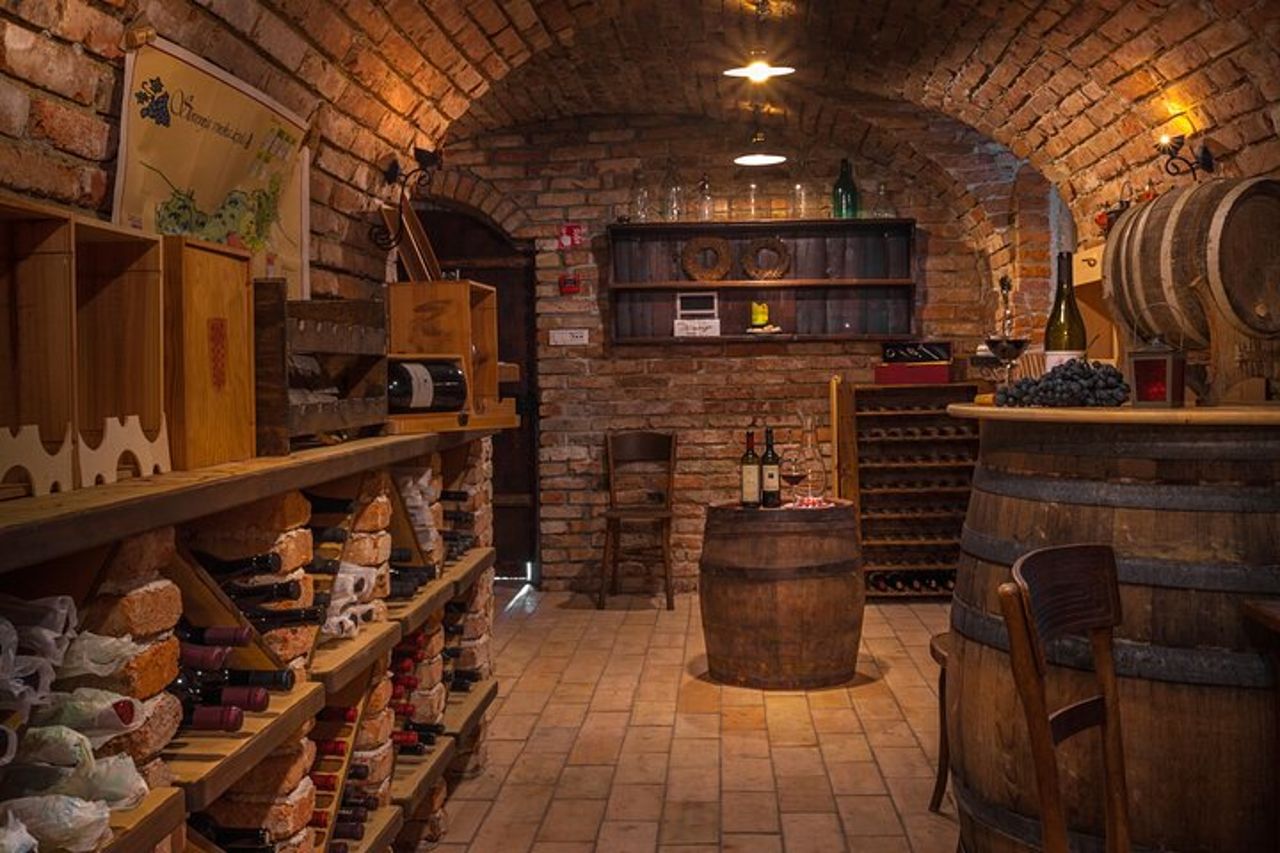 Degustazione di vini sloveni presso la cantina dell''Hotel Triglav Bled — 7