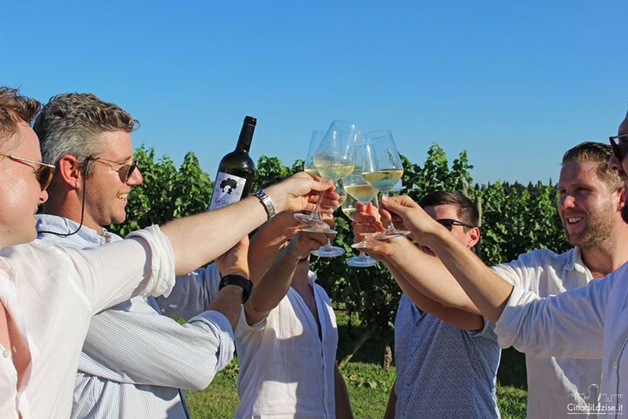 Degustazione enogastronomica nei vigneti di Lazise — 6