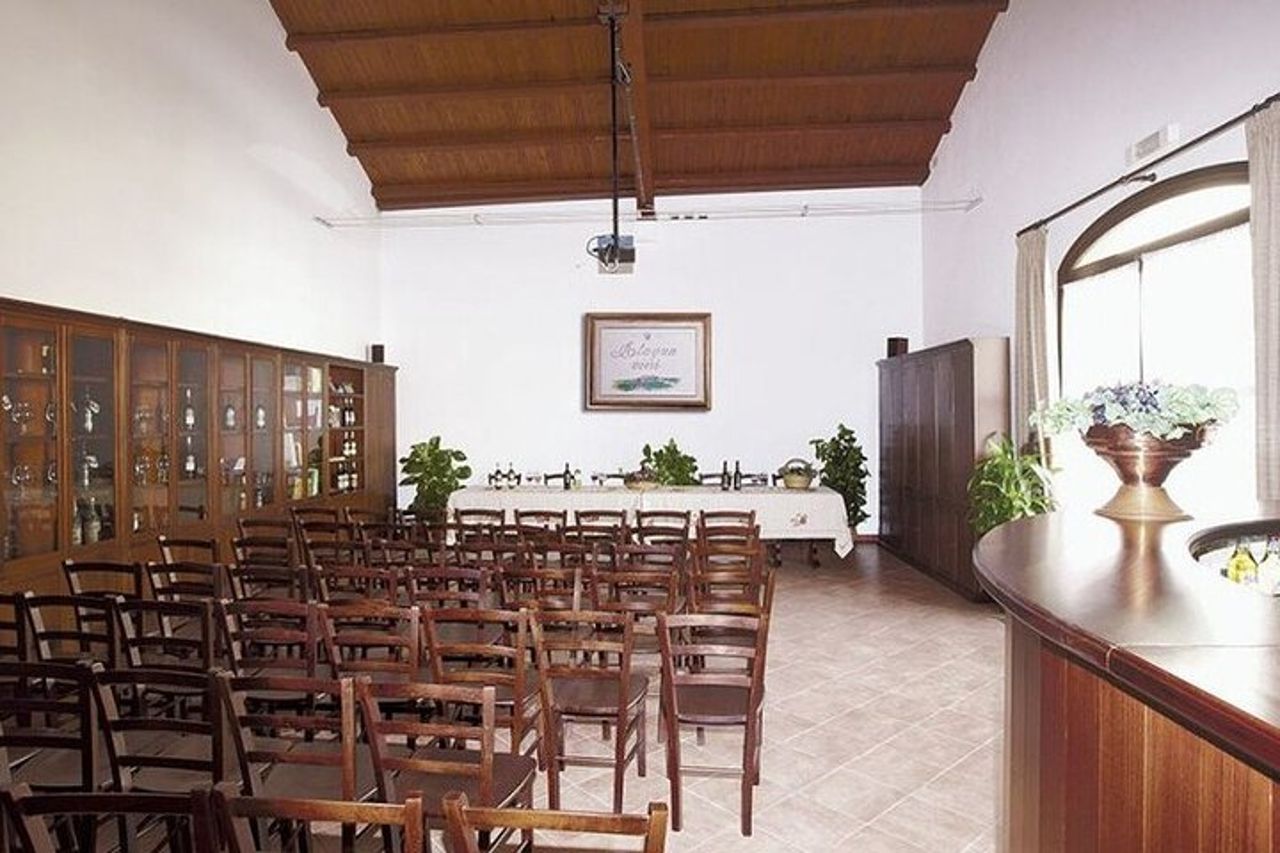 Visita alla cantina storica con degustazione di cibo e vino a Marsala — 3